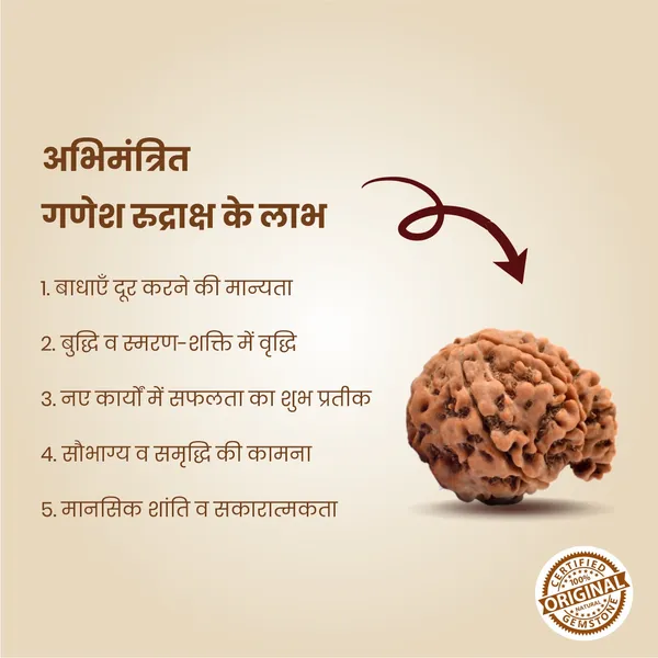 Original_Ganesh_Rudraksha_|_Nepali_Abhimantrit