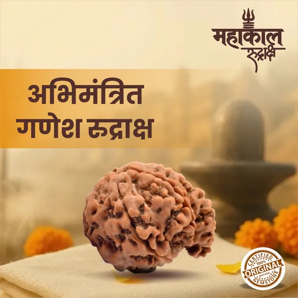 Original_Ganesh_Rudraksha_|_Nepali_Abhimantrit