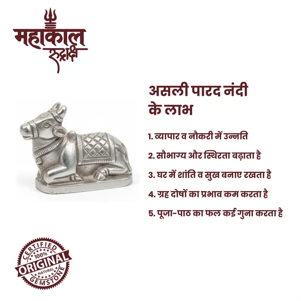 Original_Parad_Nandi-125Gm