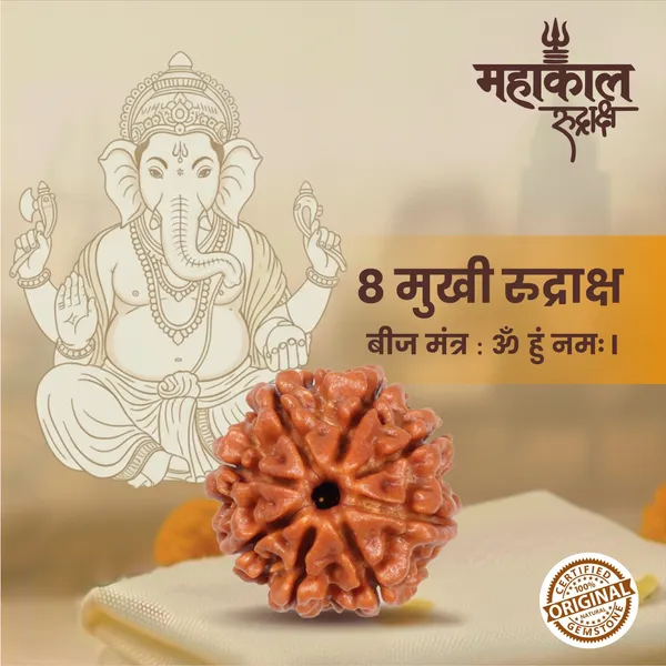 Original_8_Mukhi_Rudraksha_|_Nepali_Abhimantrit