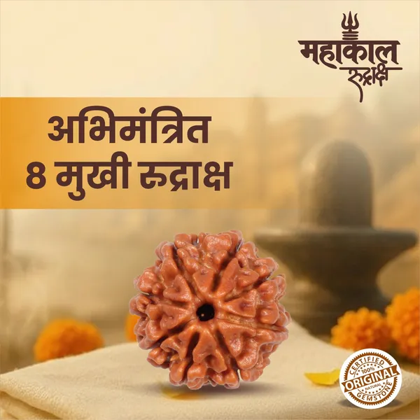 Original_8_Mukhi_Rudraksha_|_Nepali_Abhimantrit