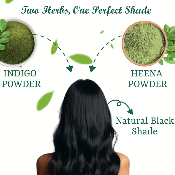 Herbal_And_Natural_Indigo_Leaf_Powder