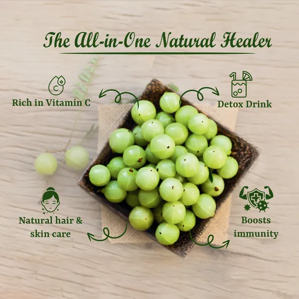 Natural_Amla_And_Ashwagandha_Powder_(Pack_Of_2)