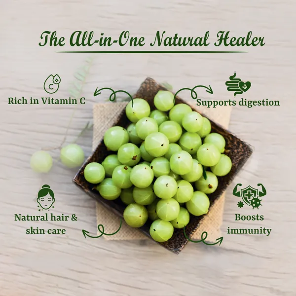 Herbal_And_Natural_Amla_Powder