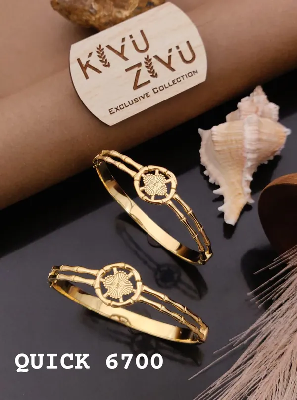 Kiyu_Ziyu_Exclusive_Collection_Gold-Toned_Designer_Bangles_Set_Of_2