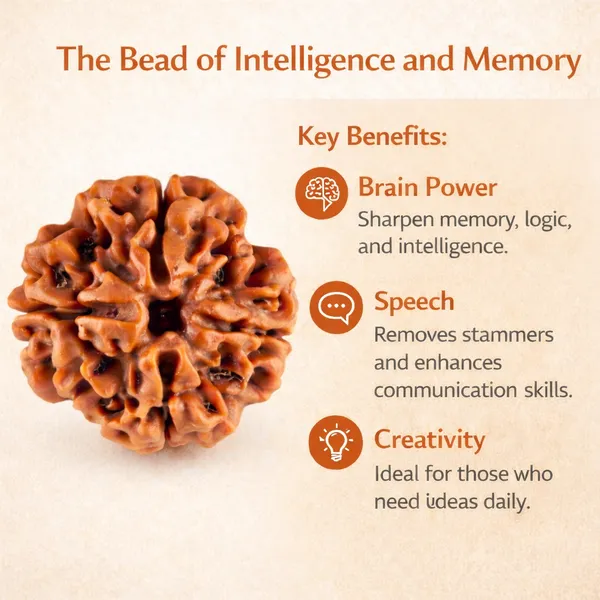 4_Mukhi_Nepali_Rudraksha_(Govt_Lab_Certified)