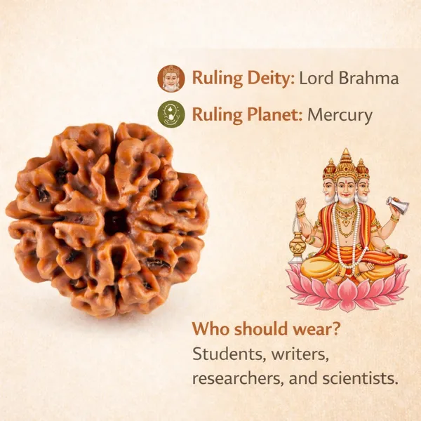 4_Mukhi_Nepali_Rudraksha_(Govt_Lab_Certified)