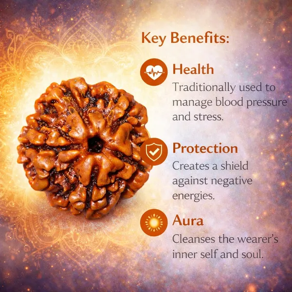 5_Mukhi_Nepali_Rudraksha_(Govt_Lab_Certified)
