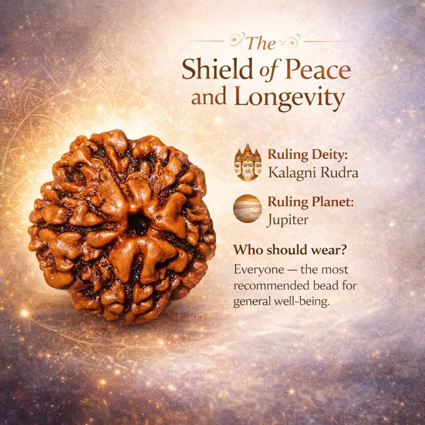 5_Mukhi_Nepali_Rudraksha_(Govt_Lab_Certified)