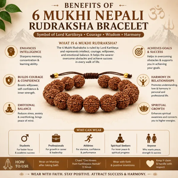 Nepali_6_Mukhi_Rudraksha_Bracelet