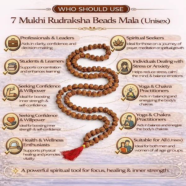 7_Mukhi_Rudraksha_Mala