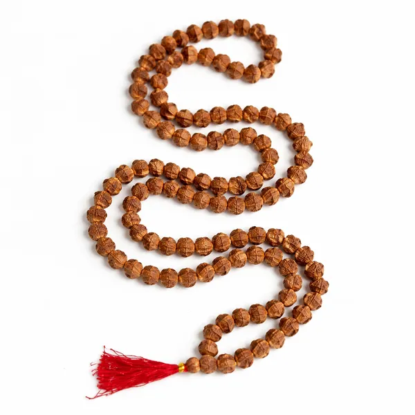 7_Mukhi_Rudraksha_Mala