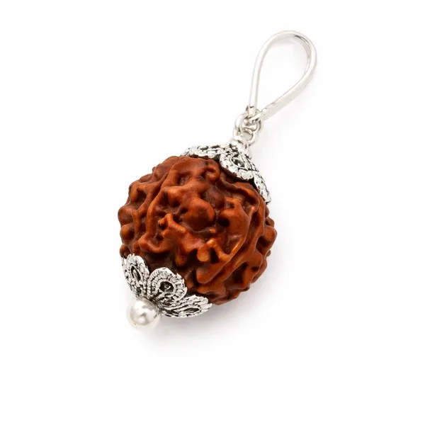 4_Mukhi_Rudraksha_Bead_Pendant_(Govt._Lab_Certified)
