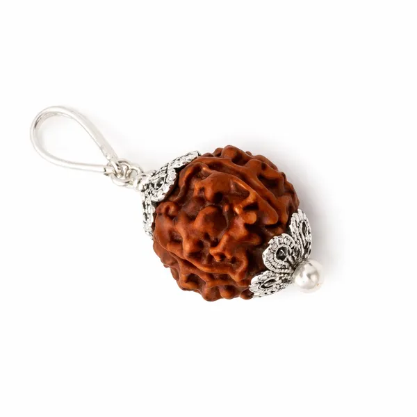 5_Mukhi_Rudraksha_Bead_Pendant_(Govt_Lab_Certified)