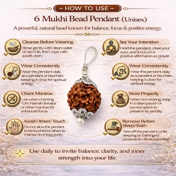 6_Mukhi_Rudraksha_Pendant_(Govt_Lab_Certified)