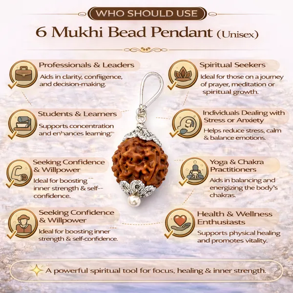 6_Mukhi_Rudraksha_Pendant_(Govt_Lab_Certified)