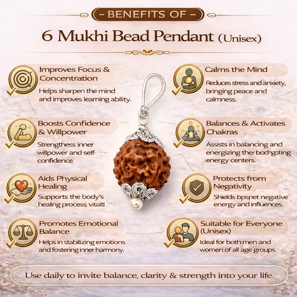 6_Mukhi_Rudraksha_Pendant_(Govt_Lab_Certified)