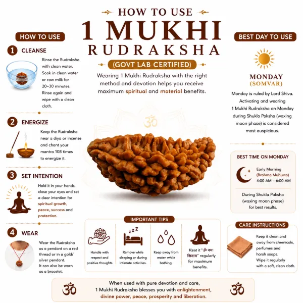 1_Mukhi_Nepali_Rudraksha_(Govt_Lab_Certified)