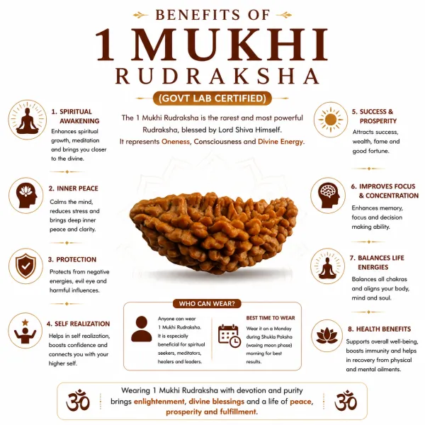 1_Mukhi_Nepali_Rudraksha_(Govt_Lab_Certified)