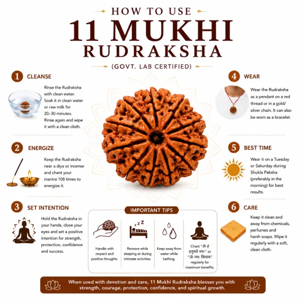 11_Mukhi_Nepali_Rudraksha_�_Powerful_Bead