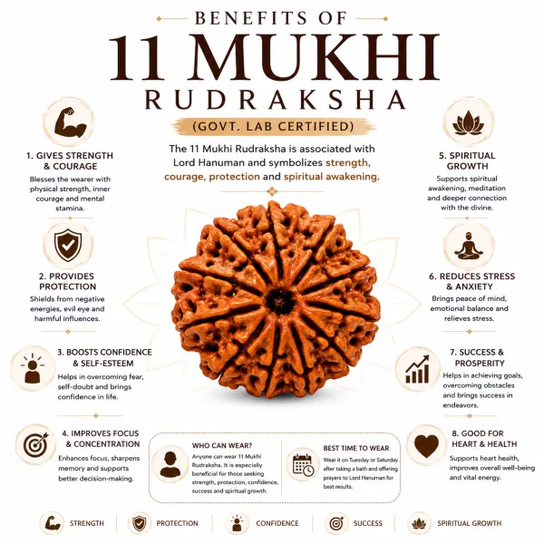 11_Mukhi_Nepali_Rudraksha_�_Powerful_Bead