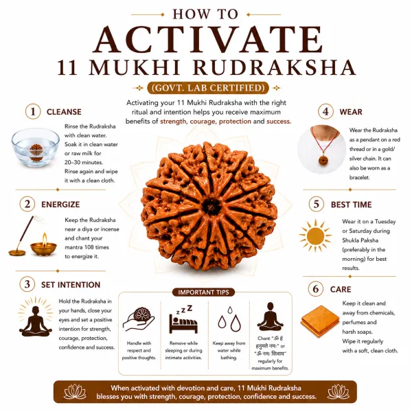 11_Mukhi_Nepali_Rudraksha_�_Powerful_Bead
