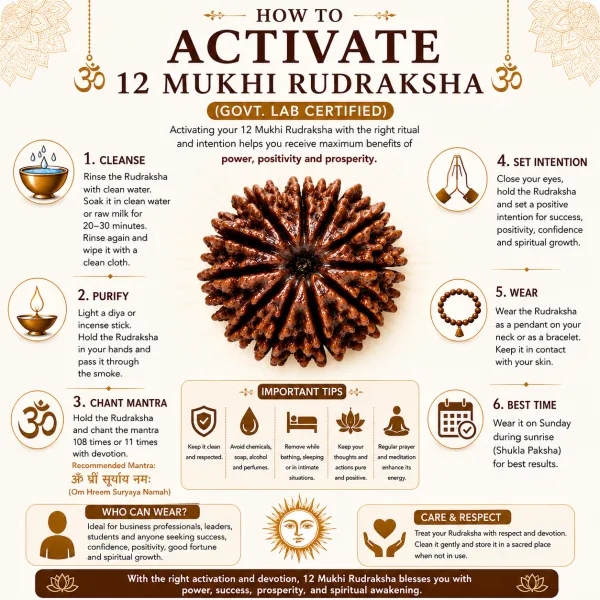 12_Mukhi_Nepali_Rudraksha