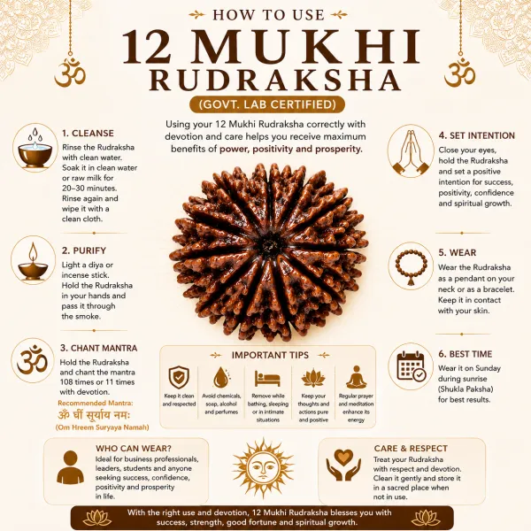 12_Mukhi_Nepali_Rudraksha