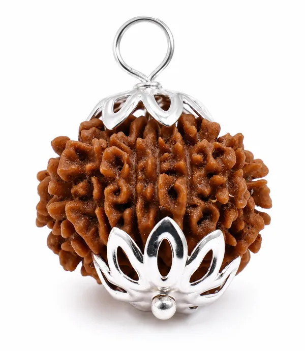 13_Mukhi_Nepali_Rudraksha_Pendant_�_Attraction_&_Confidence_Bead