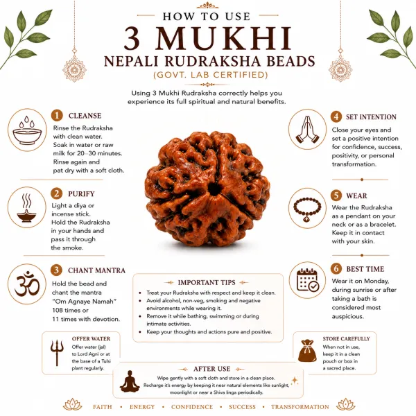 3_Mukhi_Nepali_Rudraksha_Beads_(Govt._Lab_Certified)