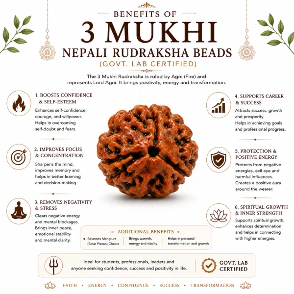 3_Mukhi_Nepali_Rudraksha_Beads_(Govt._Lab_Certified)