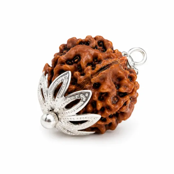 7_Mukhi_Rudraksha_Pendant_(Govt_Lab_Certified)
