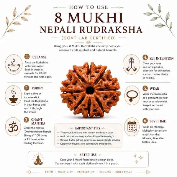 8_Mukhi_Nepali_Rudraksha_(Govt_Lab_Certified)