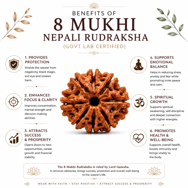 8_Mukhi_Nepali_Rudraksha_(Govt_Lab_Certified)