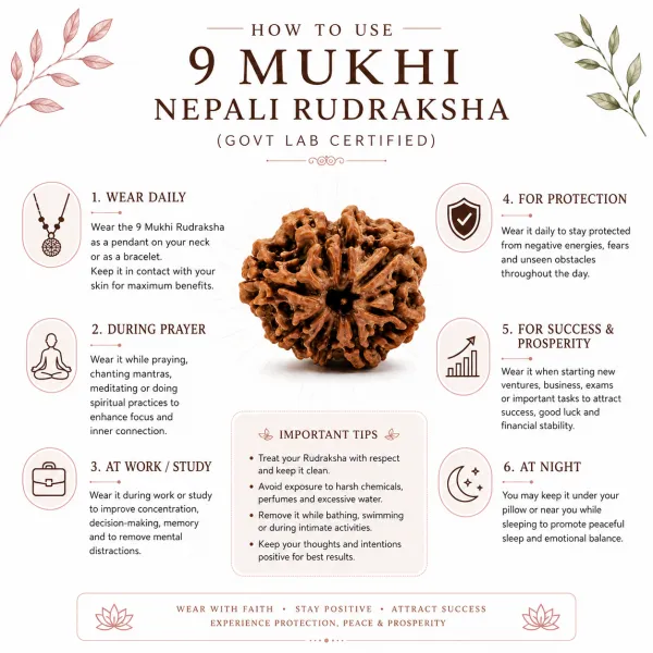 9_Mukhi_Nepali_Rudraksha_(Govt_Lab_Certified)