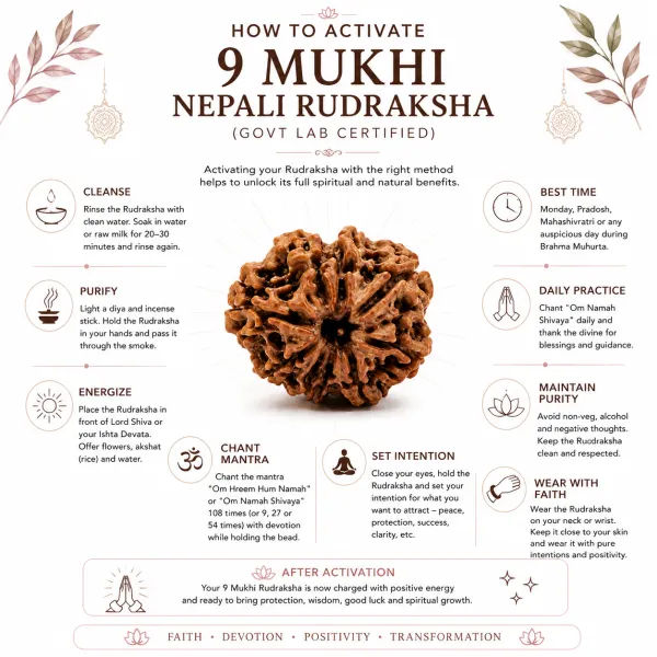 9_Mukhi_Nepali_Rudraksha_(Govt_Lab_Certified)
