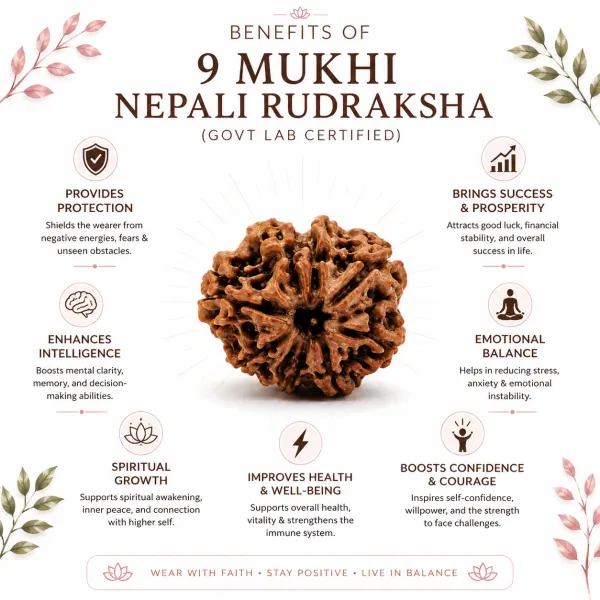 9_Mukhi_Nepali_Rudraksha_(Govt_Lab_Certified)