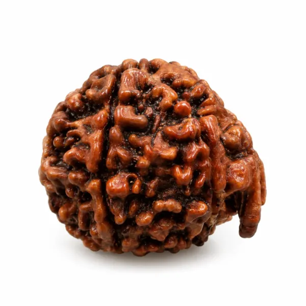 Nepali_Ganesh_Rudraksha