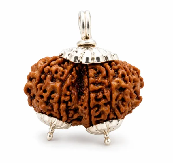 Nepali_Gauri_Shankar_Rudraksha