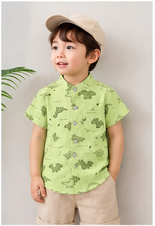 DinosaurPrinted_Shirt_And_Shorts_(_Co-ordset_)