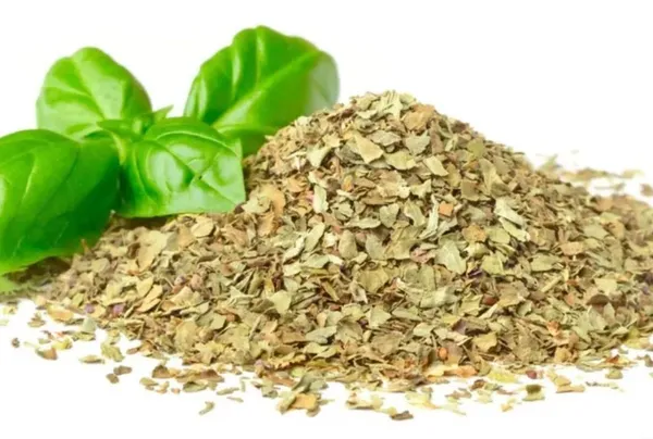 Premium_Quality_Basil_25G_Pack_Of_3_For_Cooking