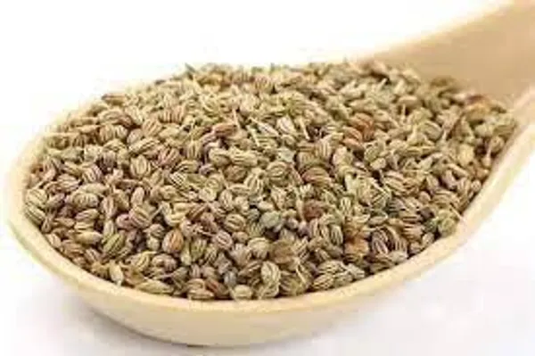 Premium_Quality_Carom_Ajwain_100G_Pack_Of_3_For_Cooking