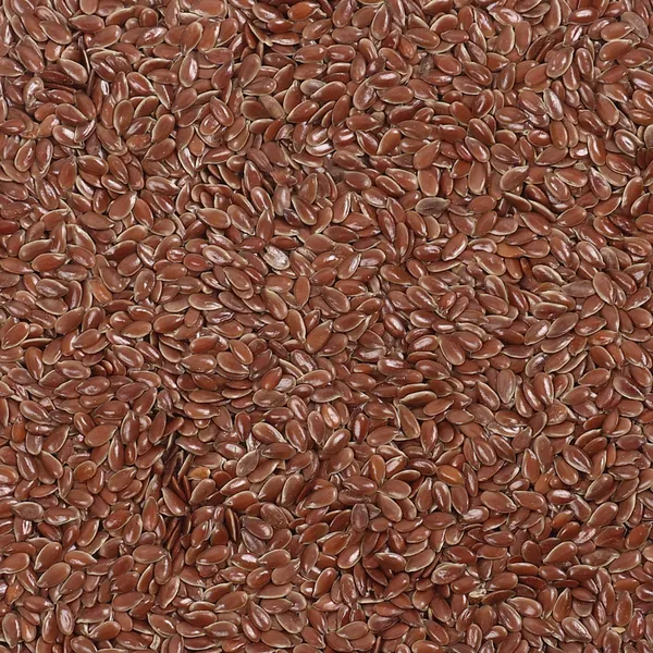 Premium_Quality_Flax_Seed_200G_Pack_Of_2_For_Cooking