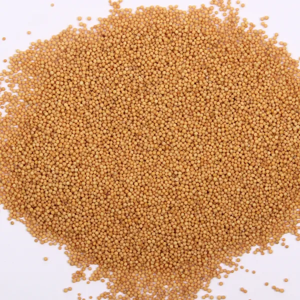 Premium_Quality_Mustard_Seed_Whole_Yellow_200G_Pack_Of_2_For_Cooking