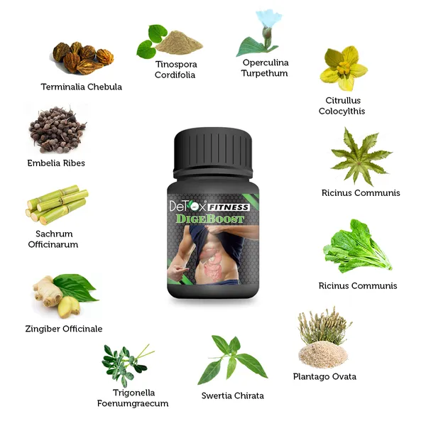 DeTox_Fitness_DigeBoost