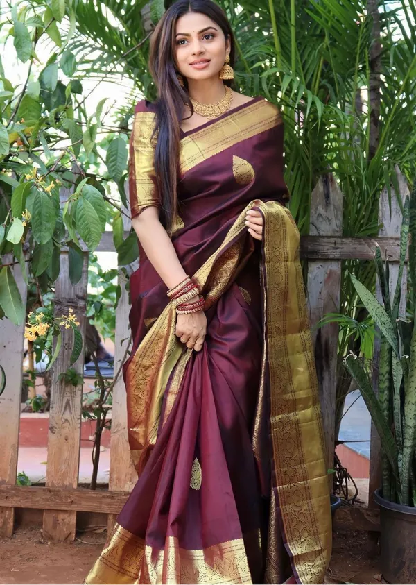 Banarasi_Soft_Silk_WINE_Premium-Fancy_Saree_With_Blouse_For_Women