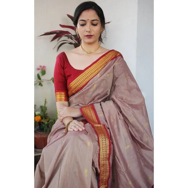 Banarasi_Soft_Silk_CHIKU-RED_Premium-Fancy_Saree_With_Blouse_For_Women