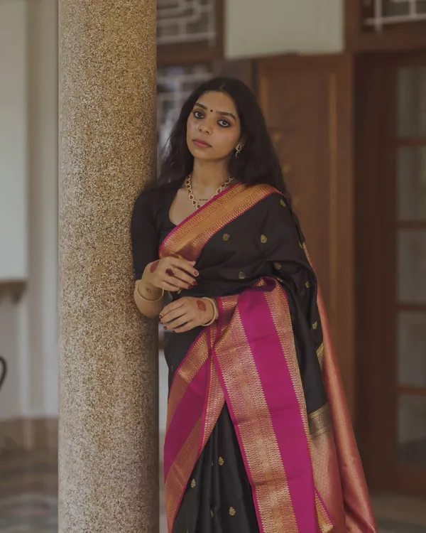 Banarasi_Soft_Silk_BLACK-RANI_Premium-Fancy_Saree_With_Blouse_For_Women