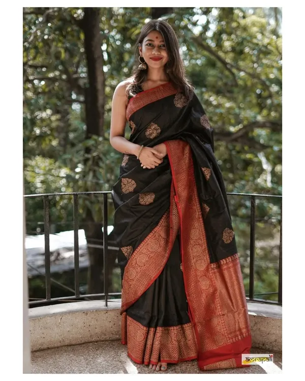 Banarasi_Soft_Silk_BLACK-RED_Premium-Fancy_Saree_With_Blouse_For_Women