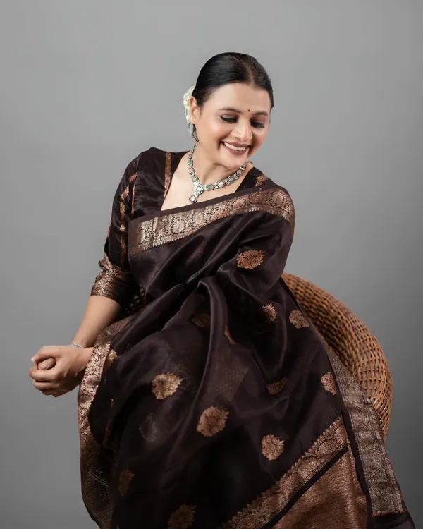 Banarasi_Soft_Silk_COFFEE_Premium-Fancy_Saree_With_Blouse_For_Women